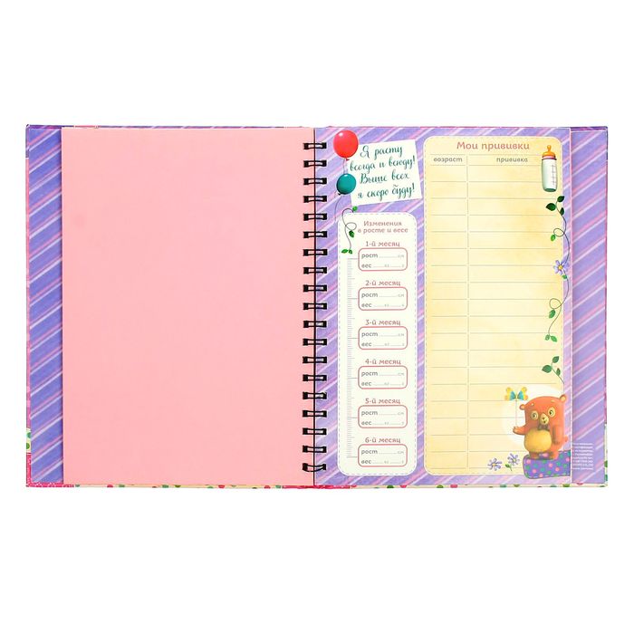 Ежедневник-смешбук на гребне "Наша малышка", твёрдая обложка, 50 страниц