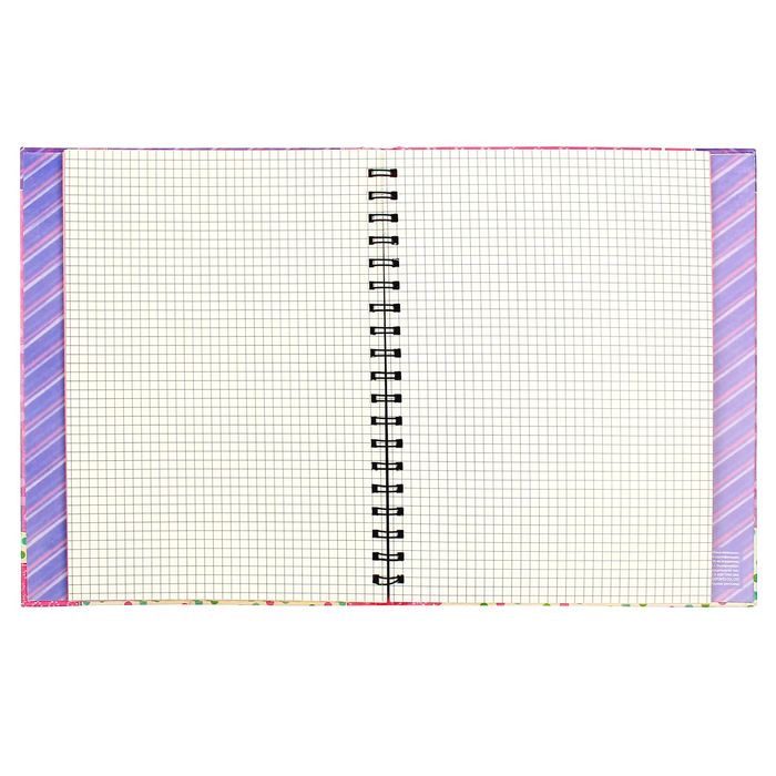 Ежедневник-смешбук на гребне "Наша малышка", твёрдая обложка, 50 страниц