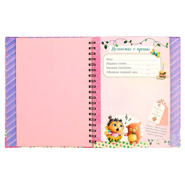 Ежедневник-смешбук на гребне "Наша малышка", твёрдая обложка, 50 страниц