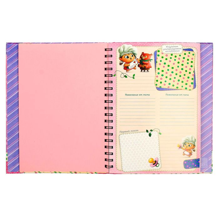 Ежедневник-смешбук на гребне "Наша малышка", твёрдая обложка, 50 страниц