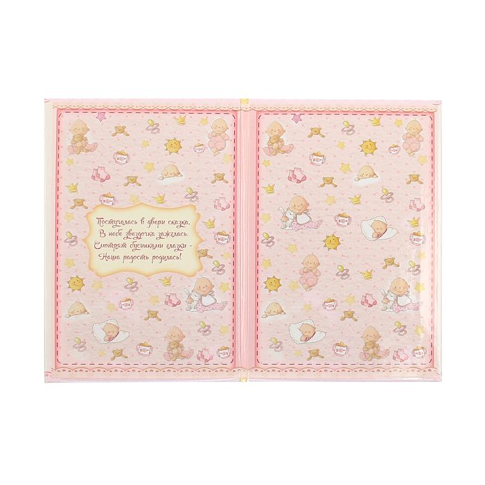 Папка под свид-во о рождении девочки "Цветочек", скрапбукинг
