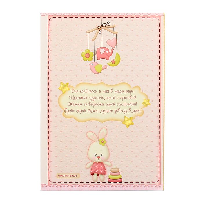Папка под свид-во о рождении девочки "Цветочек", скрапбукинг