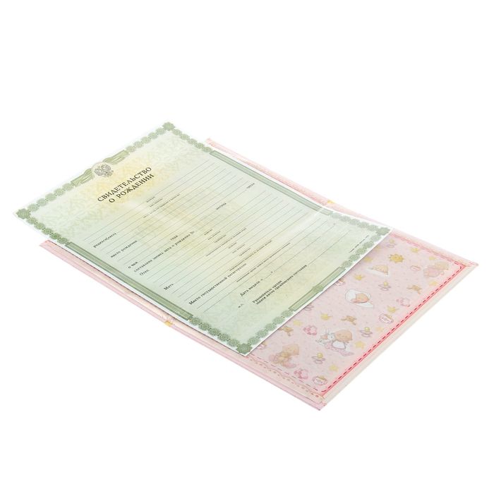 Папка под свид-во о рождении девочки "Цветочек", скрапбукинг