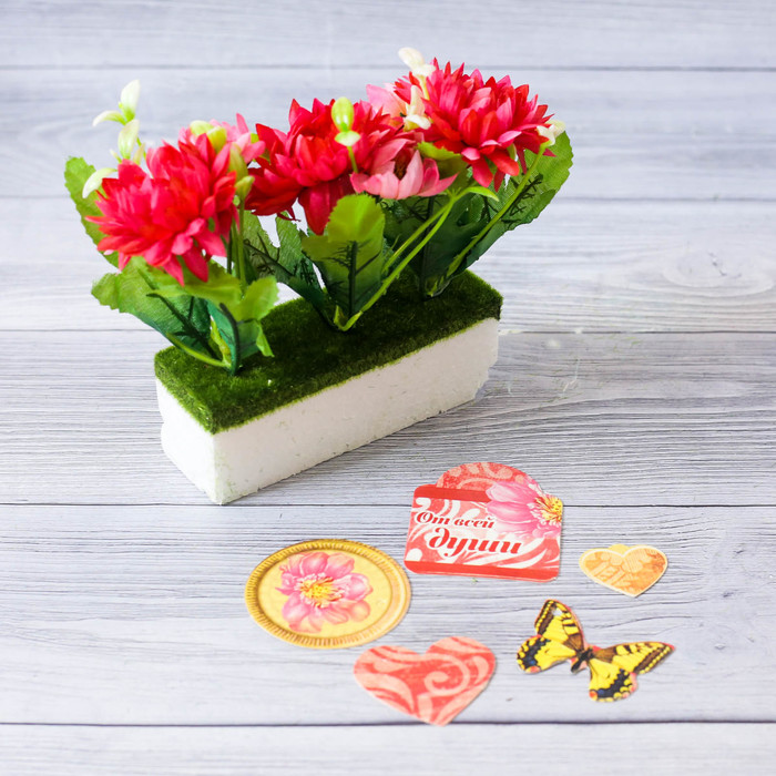 Цветы в картонном кашпо «Моей любимой», 12,5 х 20 см