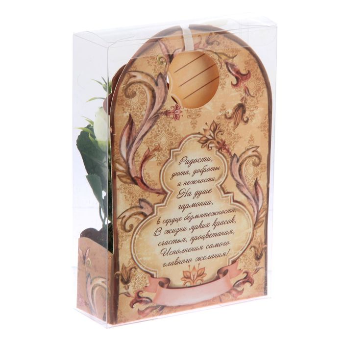 Цветы в картонном кашпо «Тепла и уюта», 12,5 х 20 см