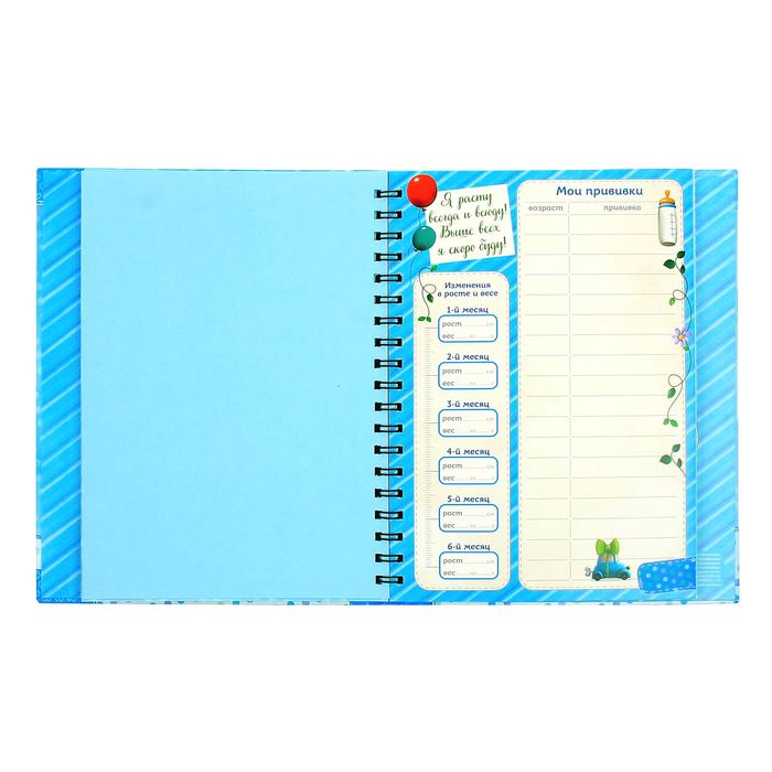 Ежедневник-смешбук на гребне "Наш малыш", твёрдая обложка, 50 страниц