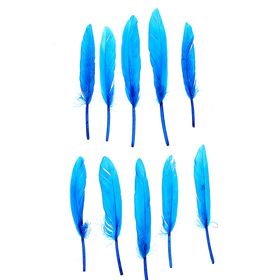

Набор перьев для декора 10 шт., размер 1 шт: 13 × 1,5 см, цвет бирюзовый