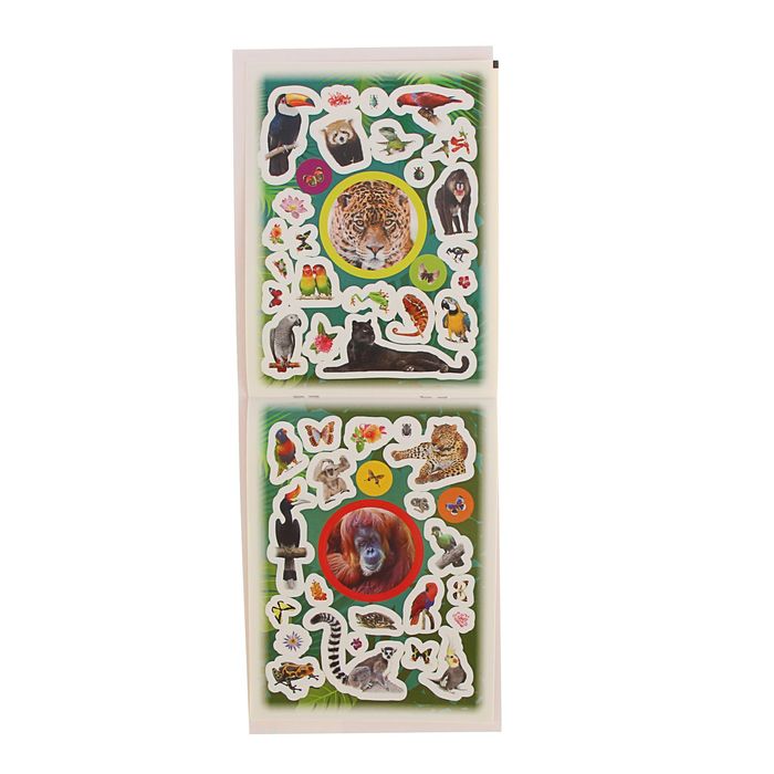 100 наклеек «Джунгли»