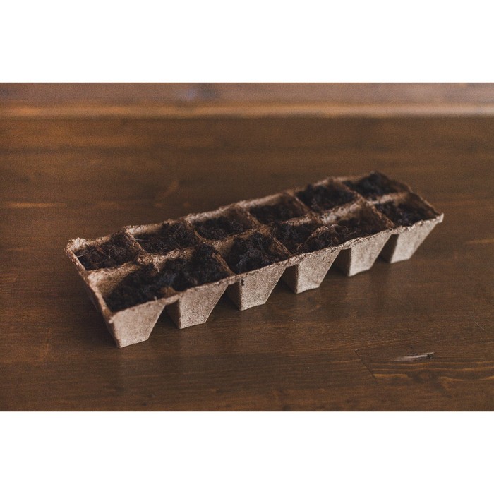 Торфяная кассета, 12 ячеек (5 х 5 см) по 50 мл, набор 5 шт., «Умный город»