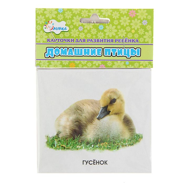 Обучающие карточки "Домашние птицы"