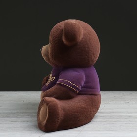 Копилка "Мишка: boy", коричневый цвет, флок, керамика, 25 см, микс от Сима-ленд