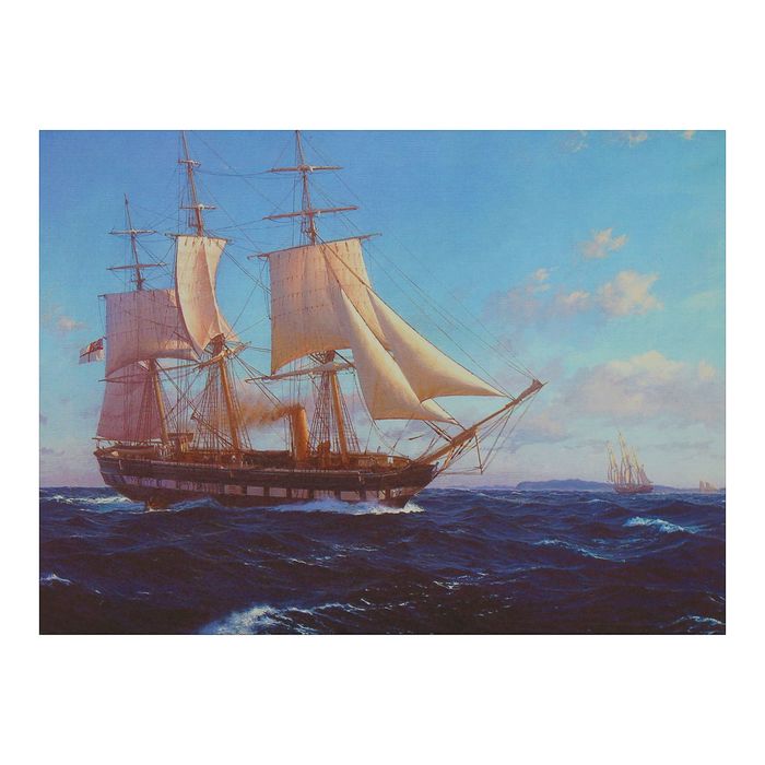 Картина на подрамнике "В плавании"