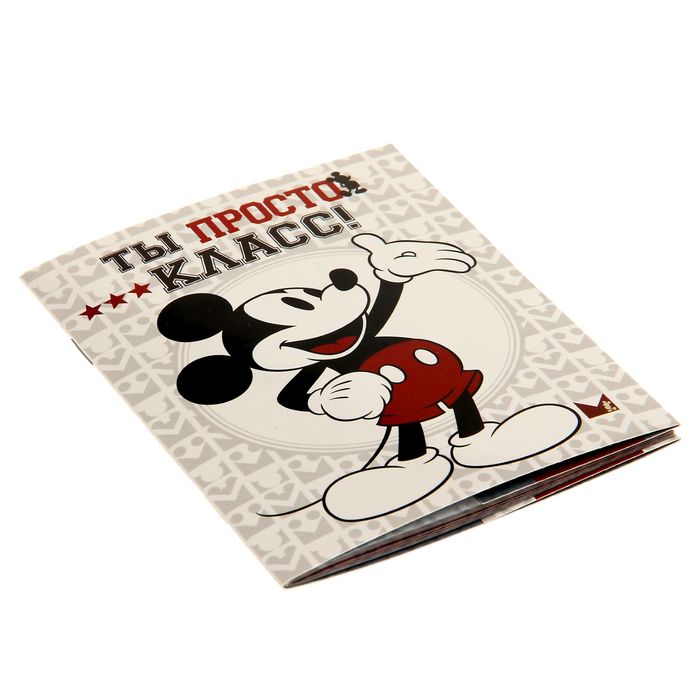 Набор подарочный с блокнотом-открыткой и ручкой "Счастливых дней и отличных идей", Микки Маус и друзья