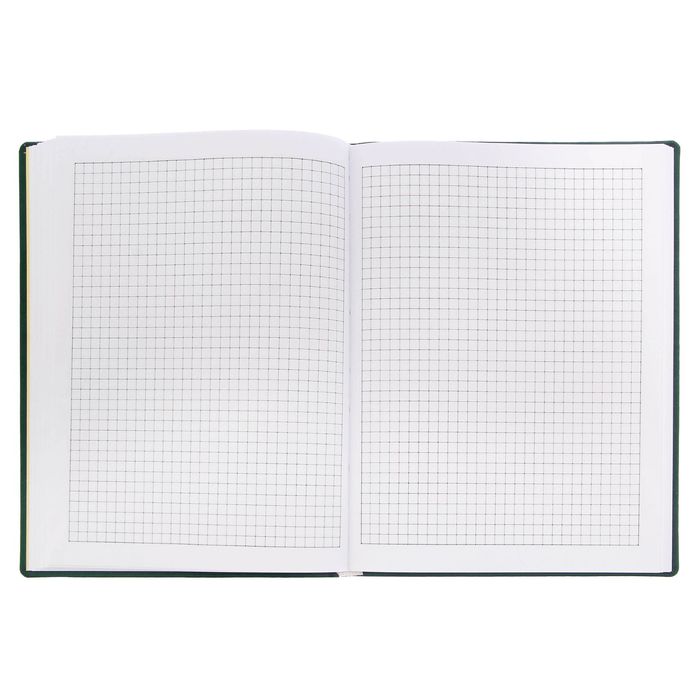 Ежедневник "Денежное обращение", экокожа, 120 листов