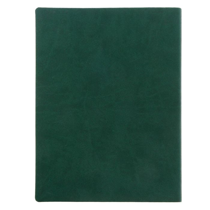 Ежедневник "Денежное обращение", экокожа, 120 листов