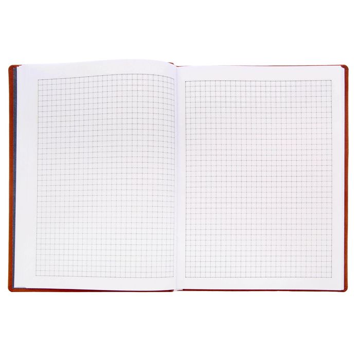 Ежедневник "История моего успеха", экокожа, 120 листов