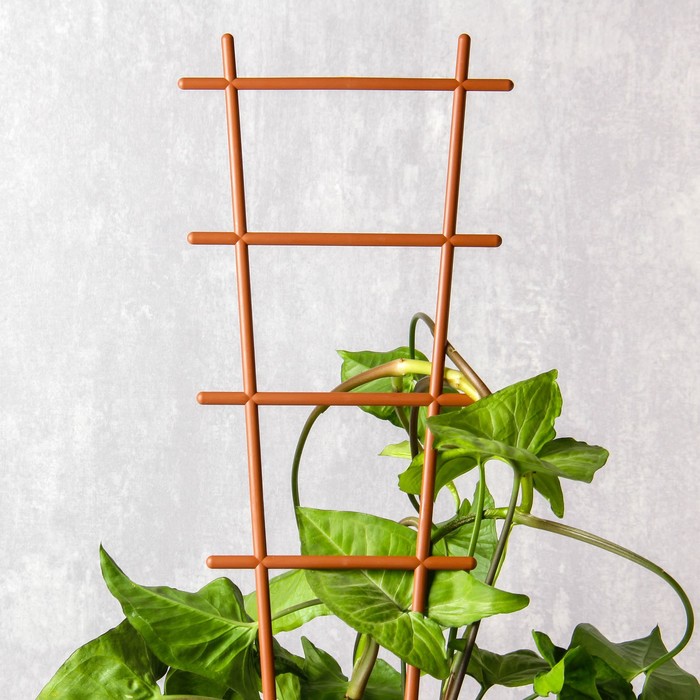 Шпалера, 56 х 19 х 0.5 см, пластик, цвет МИКС, «Лесенка»