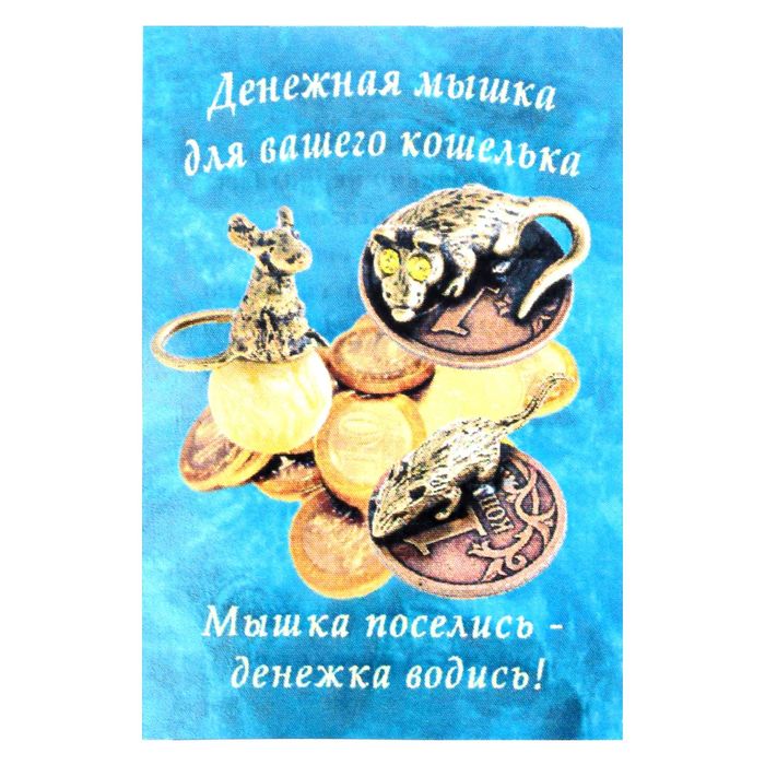 Сувенир "Кошельковая мышь-хранительница на монетке"
