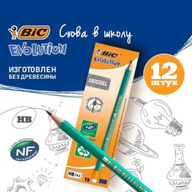 Карандаш чернографитный HB, c ластиком, зелёный корпус, BIC Evolution