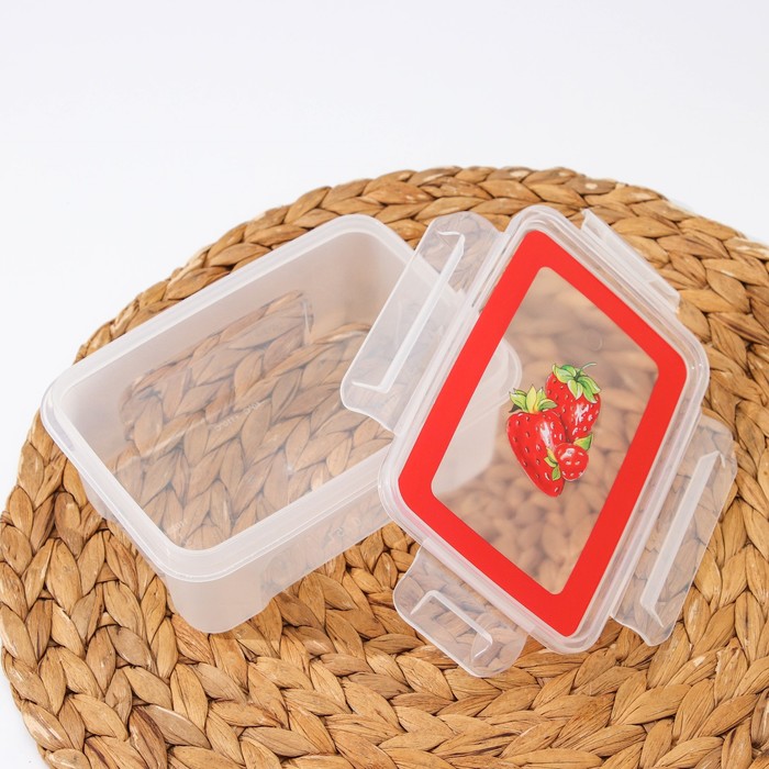 Контейнер пищевой 750 мл с герметичной крышкой "Лок декор", цвет МИКС