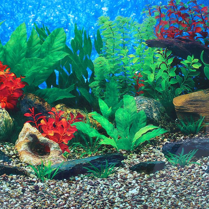 Фон двухсторонний 50смХ15м рулон "Раст. пресноводные/Морские заросли" 9019-9033(50)