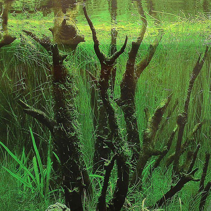 Фон двухсторонний 50смХ15м рулон "Коряги с растениями / Растительные холмы" 9084-9085(50)