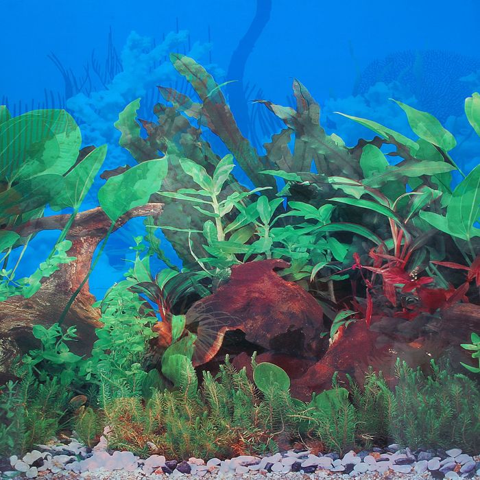 Фон двухсторонний 60смХ15м рулон "Белые кораллы морской /Растительный с корягой (синий)" 9029-9059(