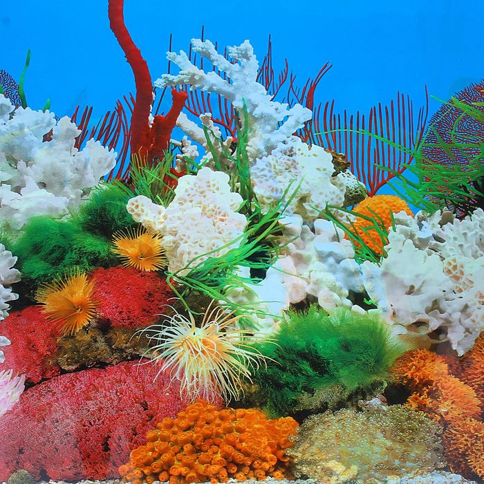 Фон двухсторонний 60смХ15м рулон "Белые кораллы морской /Растительный с корягой (синий)" 9029-9059(