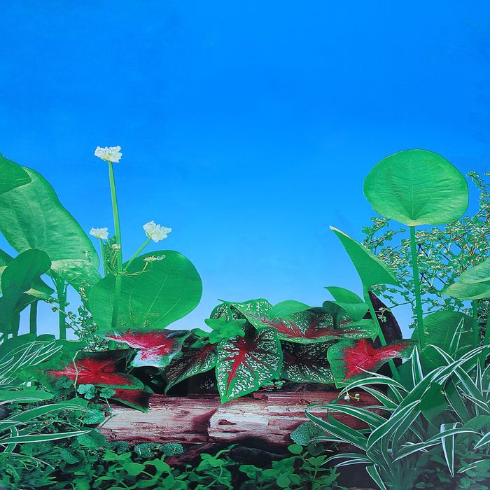 Фон двухсторонний 60смХ15м рулон "Растительный (синий) / Растительный с камнем (синий)" 9011-9031(6