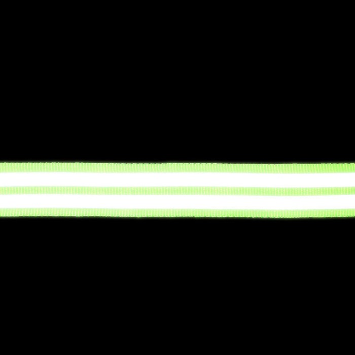 фото Светоотражающая лента-стропа, 20 мм, 5 ± 1 м, 2 полосы, цвет салатовый арт узор