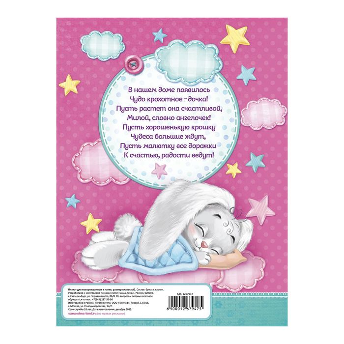 Плакат в папке "Мой удивительный первый год" для девочки