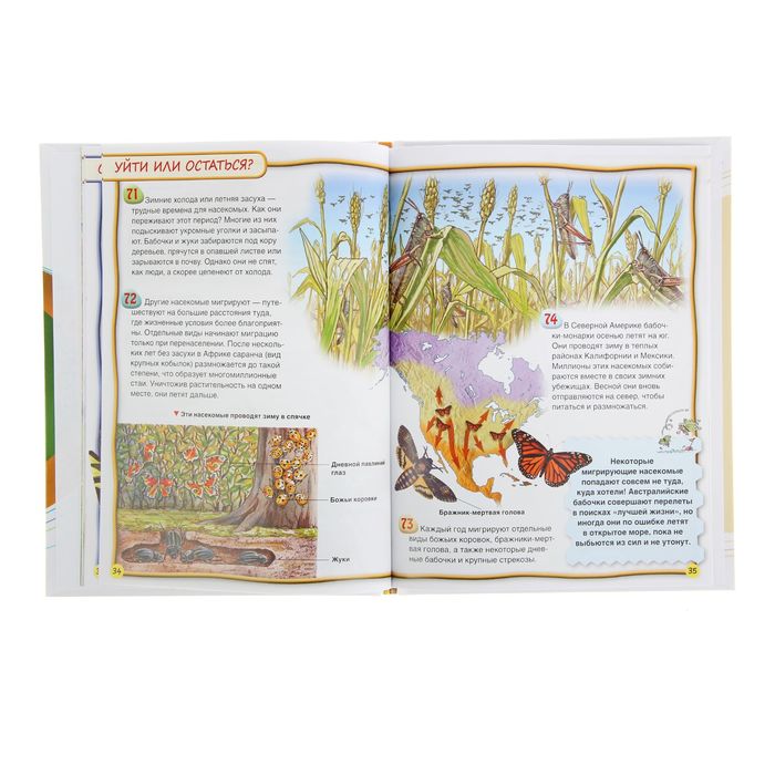 100 фактов «Насекомые»