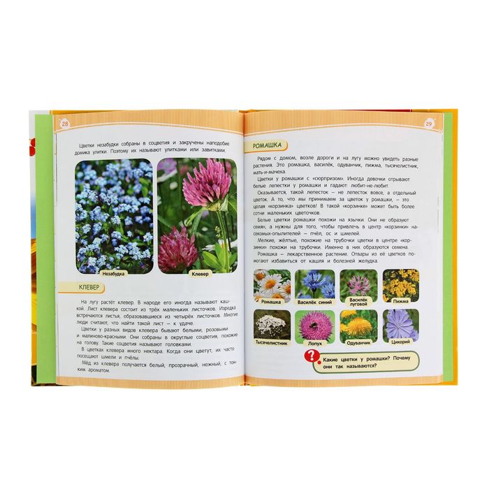 Энциклопедия подготовки к школе «Мир растений»
