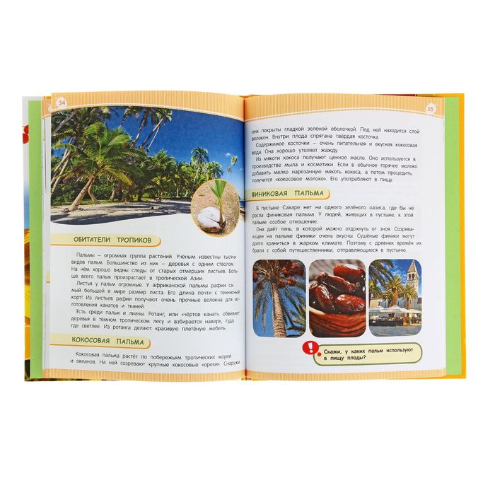 Энциклопедия подготовки к школе «Мир растений»