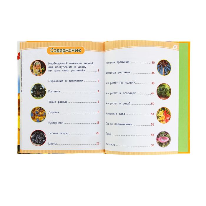 Энциклопедия подготовки к школе «Мир растений»