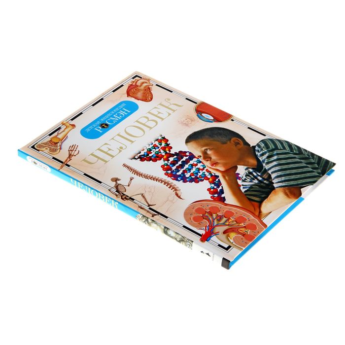 Детская энциклопедия РОСМЭН «Человек»