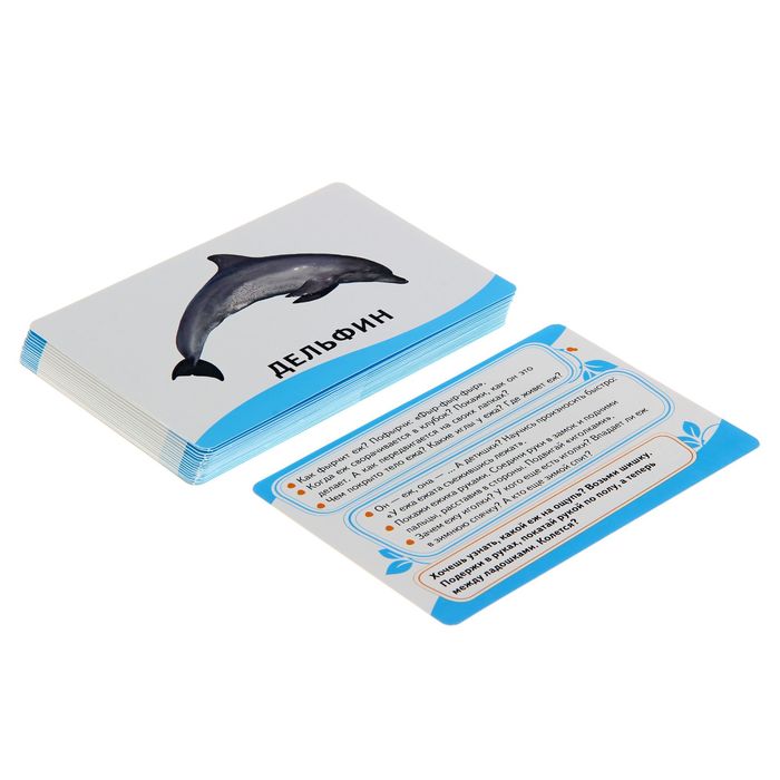 Умные карточки «Животные» 32 карточки