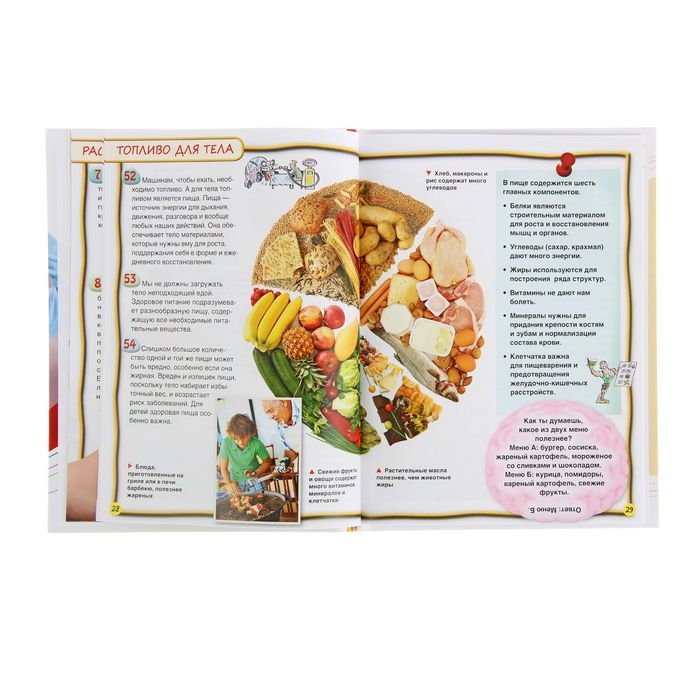 100 фактов «Тело человека»