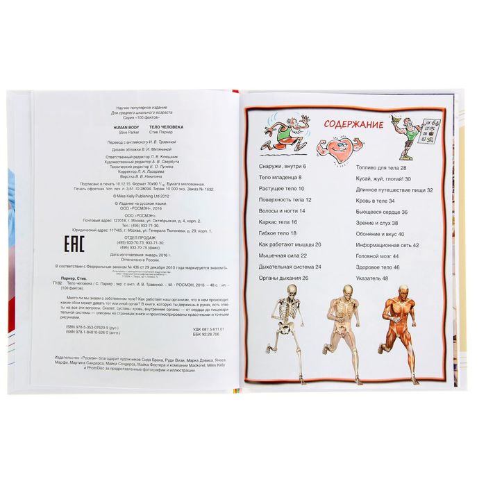 100 фактов «Тело человека»