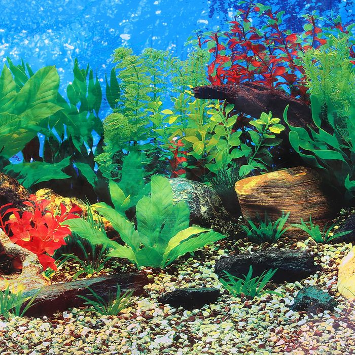 Фон двухсторонний 60см. Растительный пресн./Белые кораллы морской 9019-9029(60)