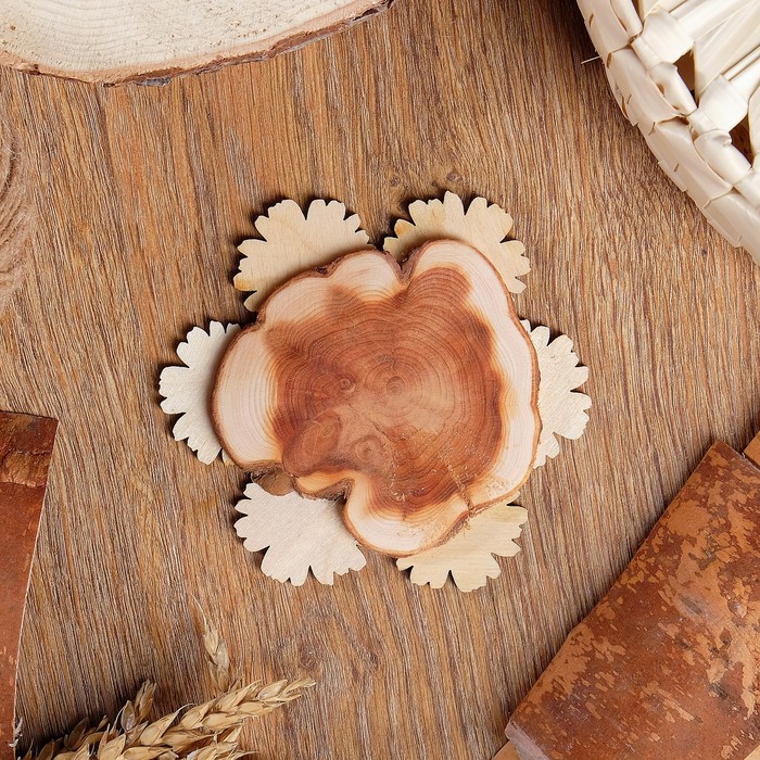 Подставка под горячее «Ромашка», D=11 см, можжевельник