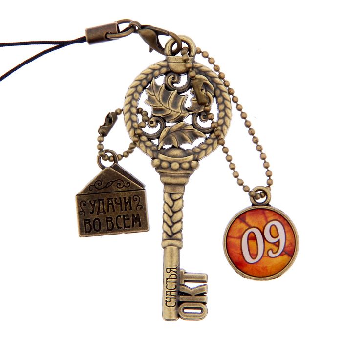 Ключ сувенирный "9 Октября", серия 365 дней