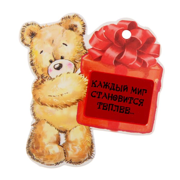 Набор декоративных шильдиков со скретч слоем"Маленький сюрприз",13 х26 см