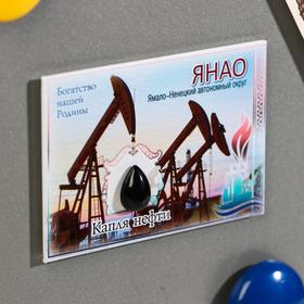 

Магнит-оберег «ЯНАО»