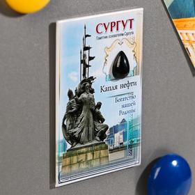 

Магнит-оберег «Сургут»