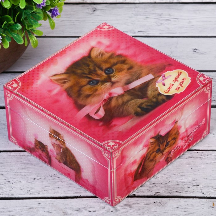 Шкатулка "Самой лучшей на земле-Замуррчательной тебе!"