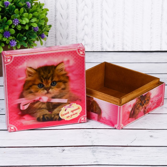 Шкатулка "Самой лучшей на земле-Замуррчательной тебе!"