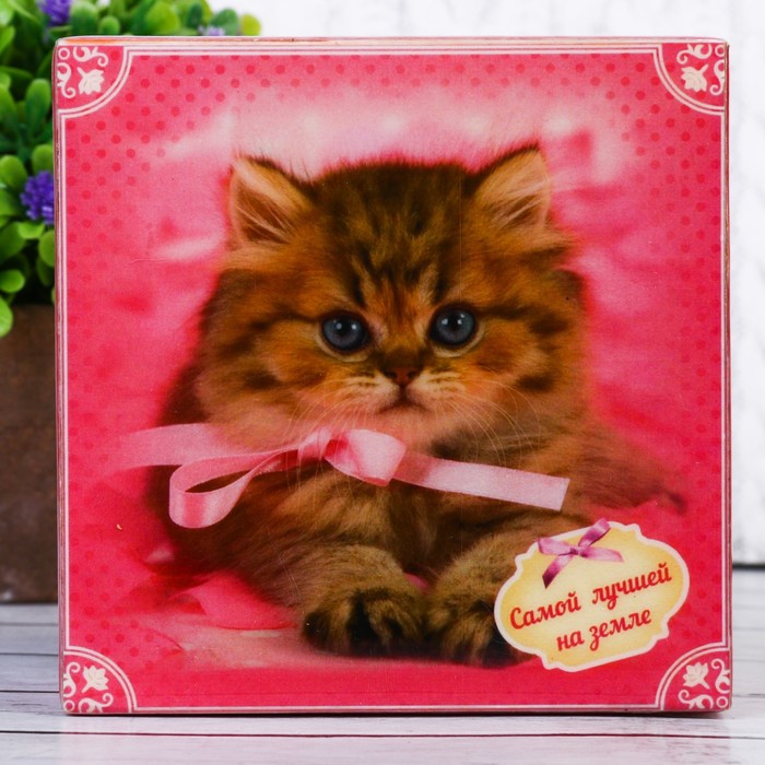 Шкатулка "Самой лучшей на земле-Замуррчательной тебе!"