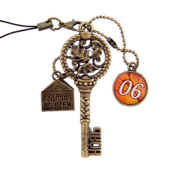 Ключ сувенирный "6 Ноября", серия 365 дней