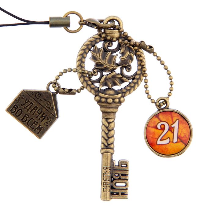 Ключ сувенирный "21 Ноября", серия 365 дней